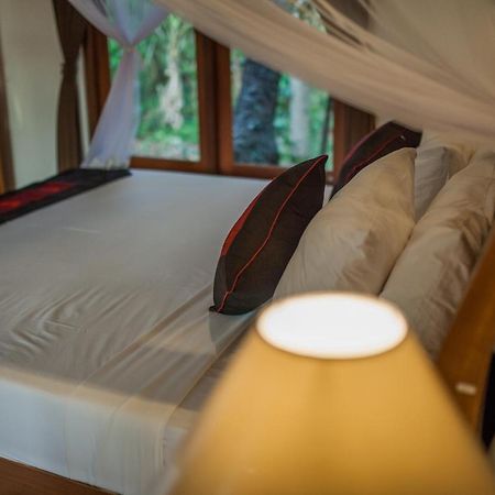 Abimana Ubud Zewnętrze zdjęcie